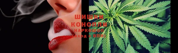 прущие грибы Баксан